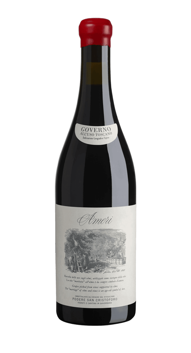 Bottle Ameri Podere San Cristoforo